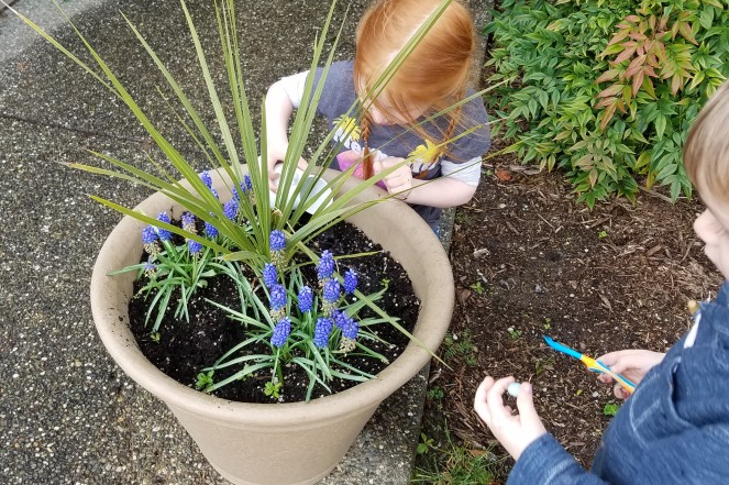 Easter activity: Planting jelly beans to grow lollipops.  - Secrets of a Supermom